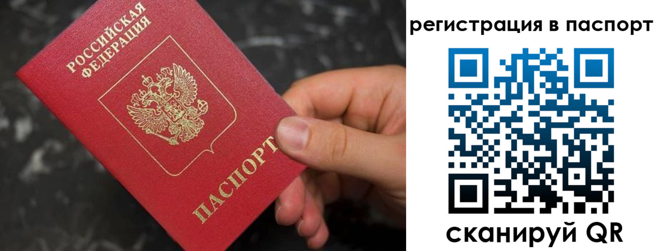 прописка для работы в Рошале